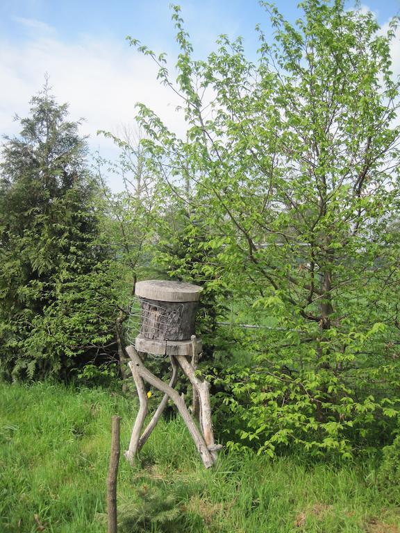 Haus Am Park Thallwitz Quarto foto