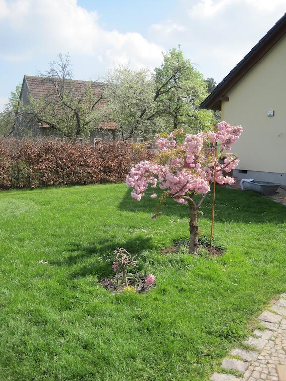 Haus Am Park Thallwitz Quarto foto